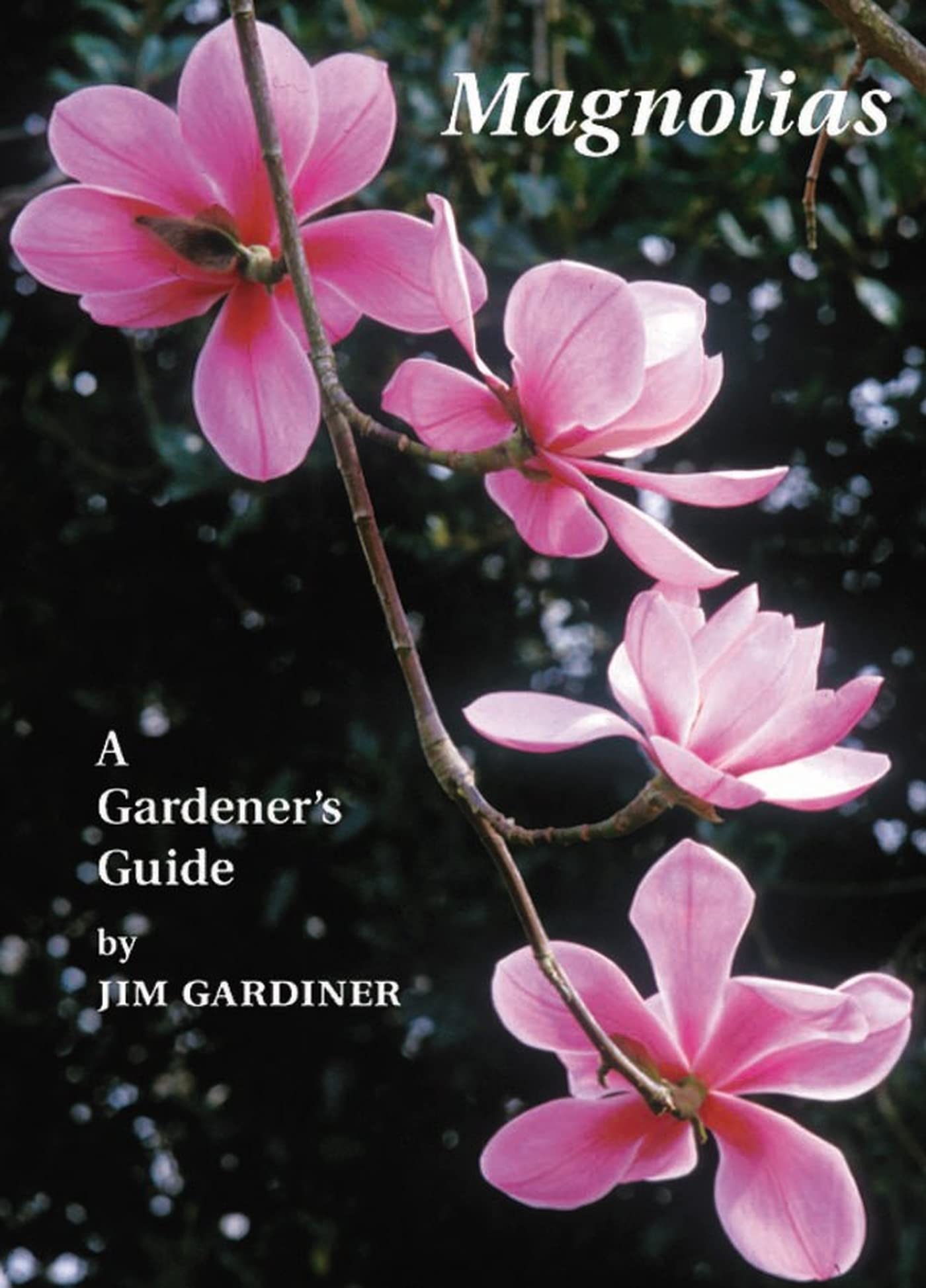 Magnolias: A Gardener'S Guide
