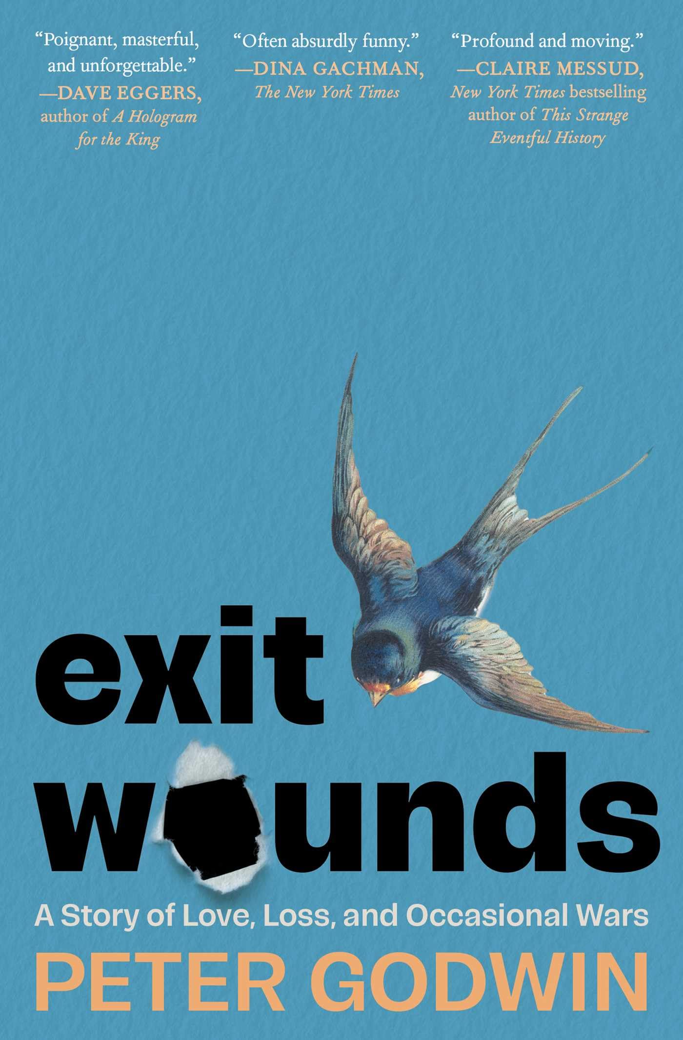 Exit Wounds: A Story Of Love, Loss, And Occasional Wars