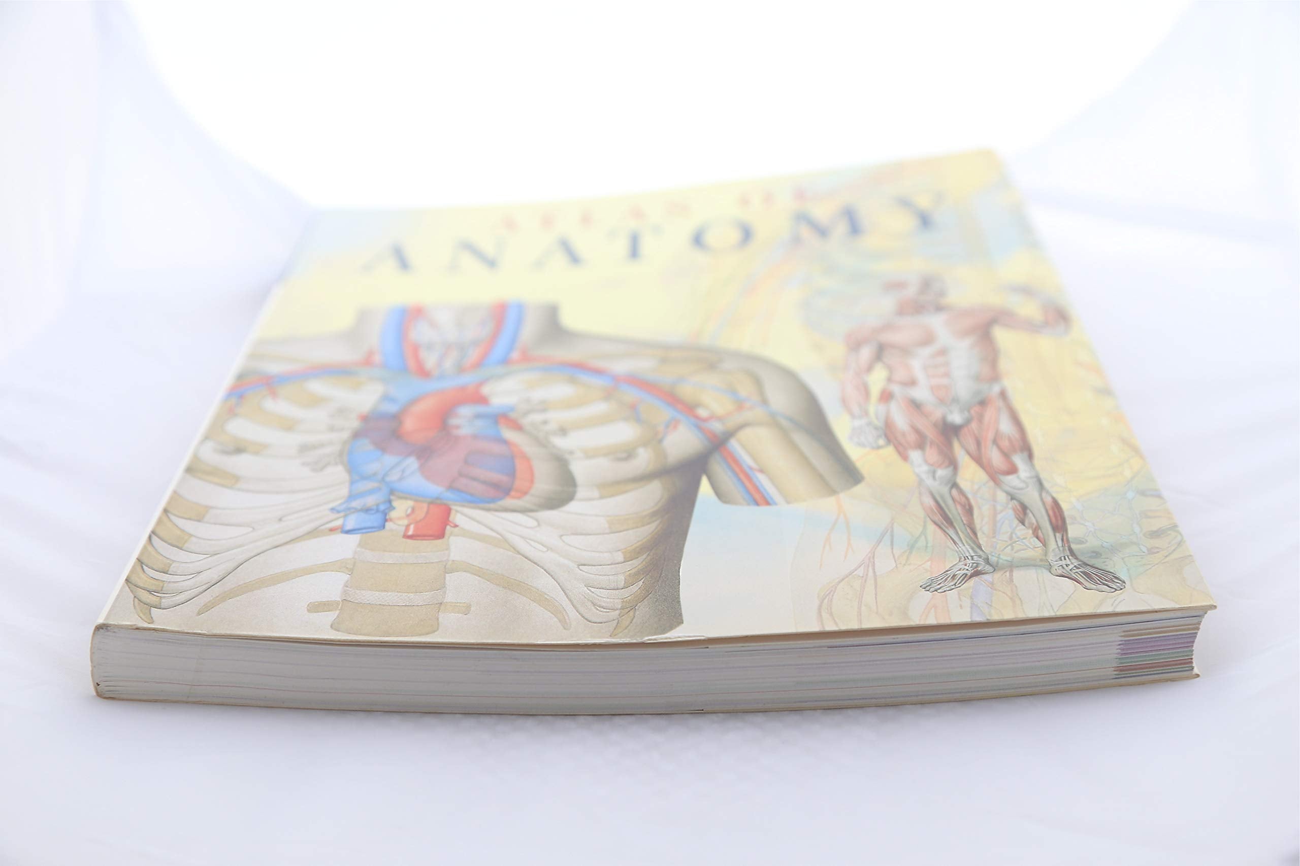 Atlas Of Anatomy,New