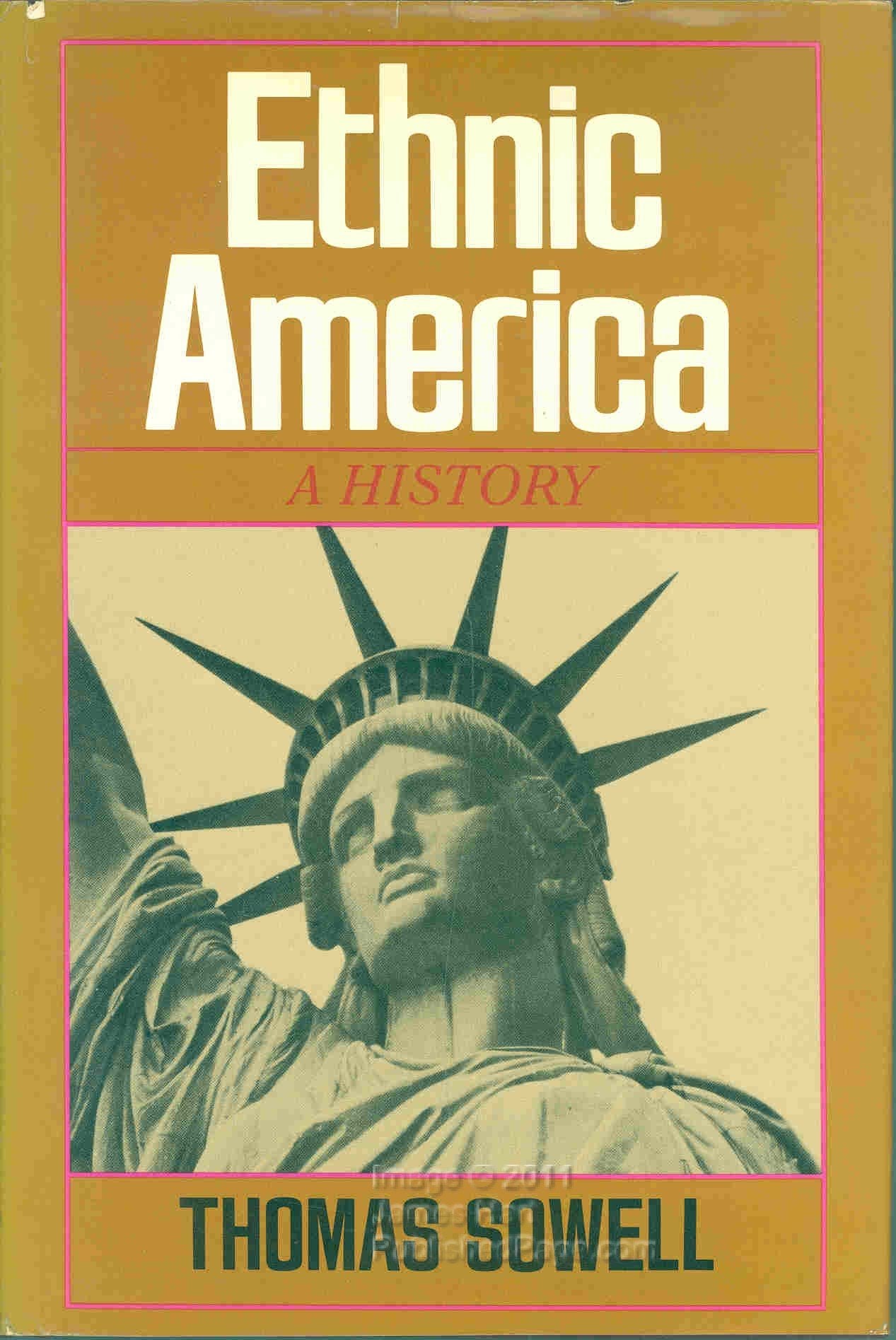 Ethnic America: A History,Used