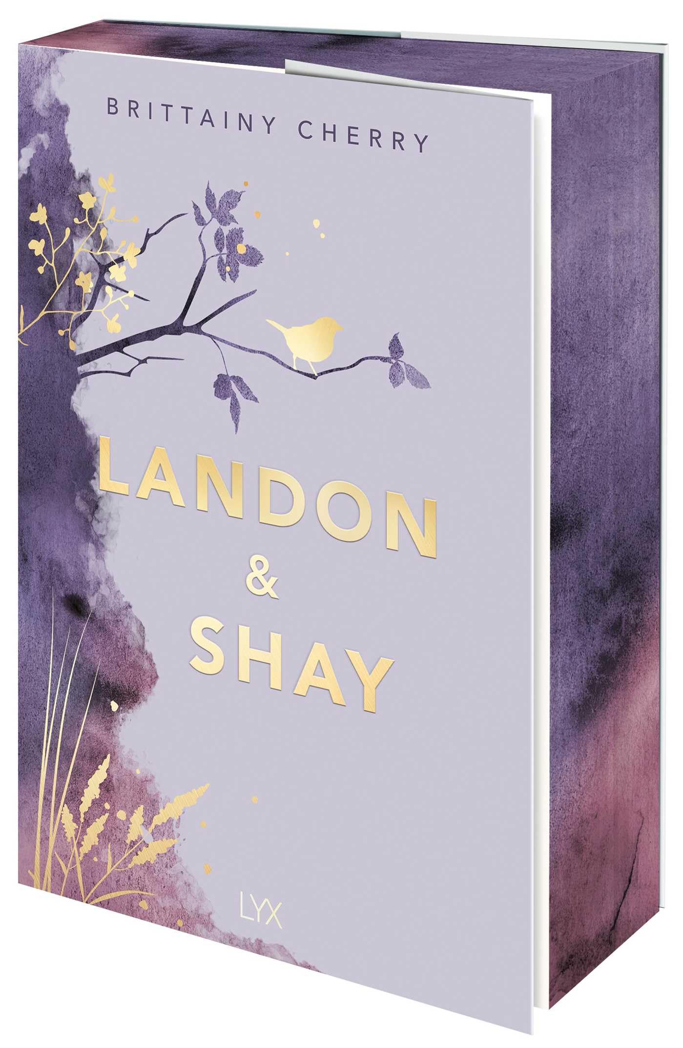 Landon & Shay (Chances)