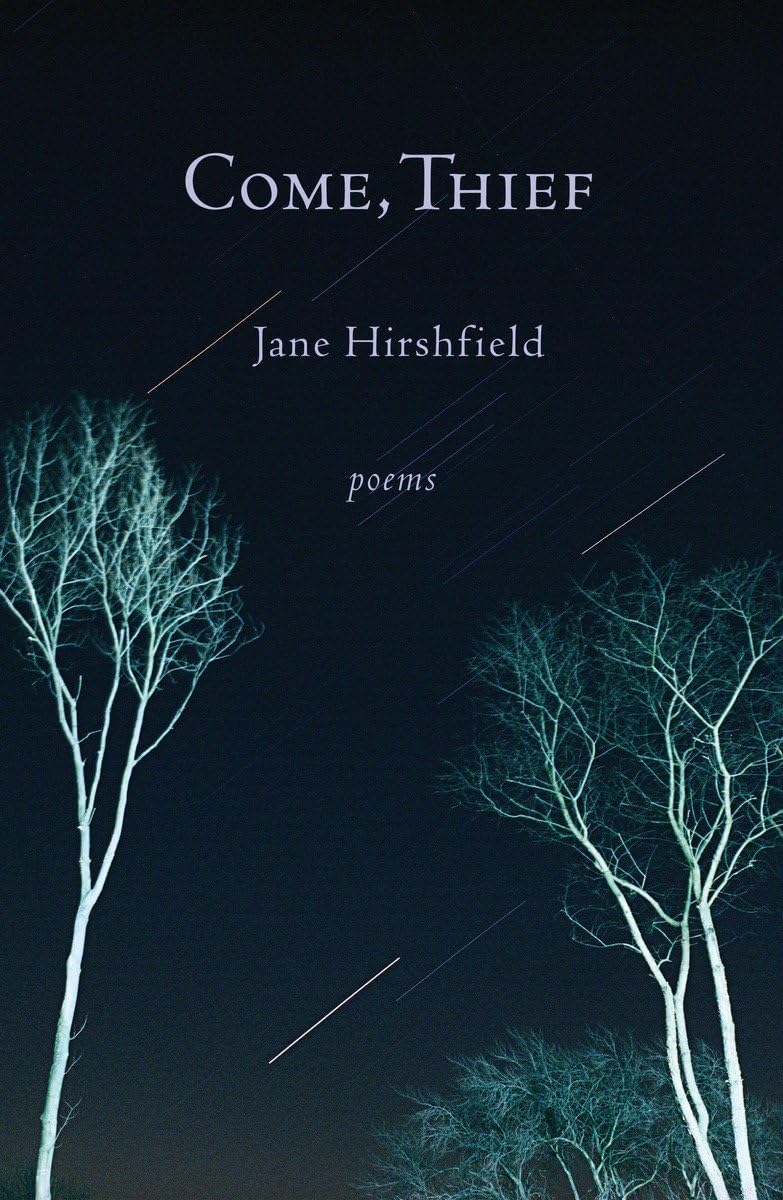 Come, Thief: Poems,Used
