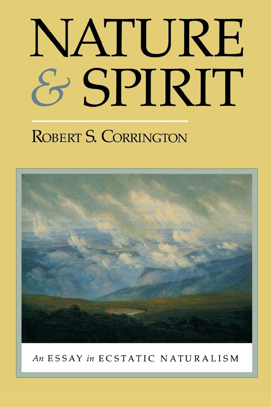 Nature and Spirit: An Essay in Ecstatic Naturalism,Used