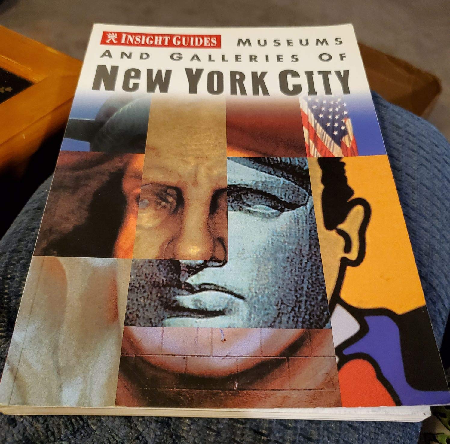 Museums and Galleries of New York City (INSIGHT GUIDES (MUSEUMS AND GALLERIES)),Used