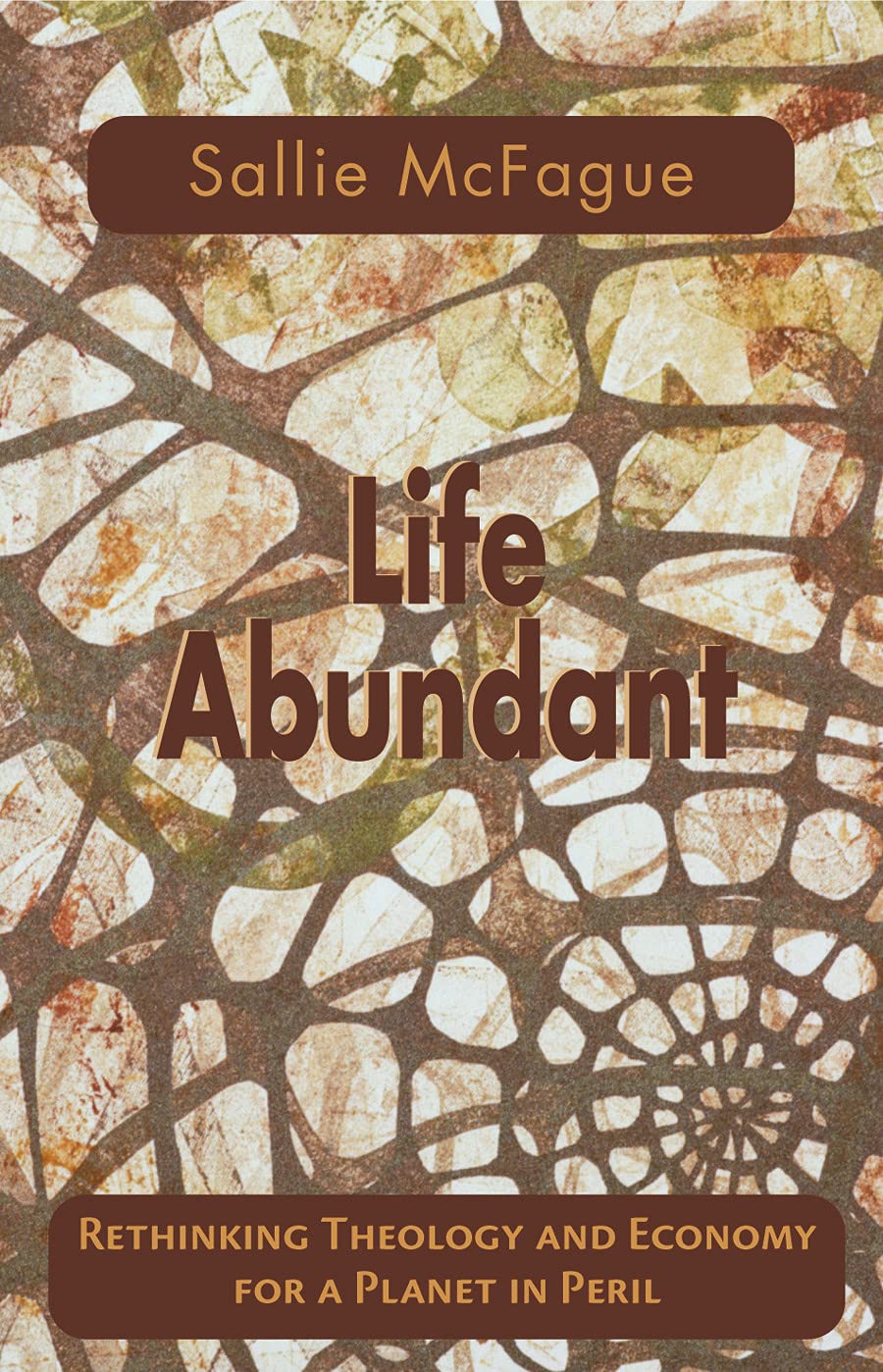 Life Abundant: Rethinking Theology And Economy For A Planet In Peril (Searching For A New Framework),Used