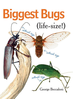 Biggest Bugs Lifesize
