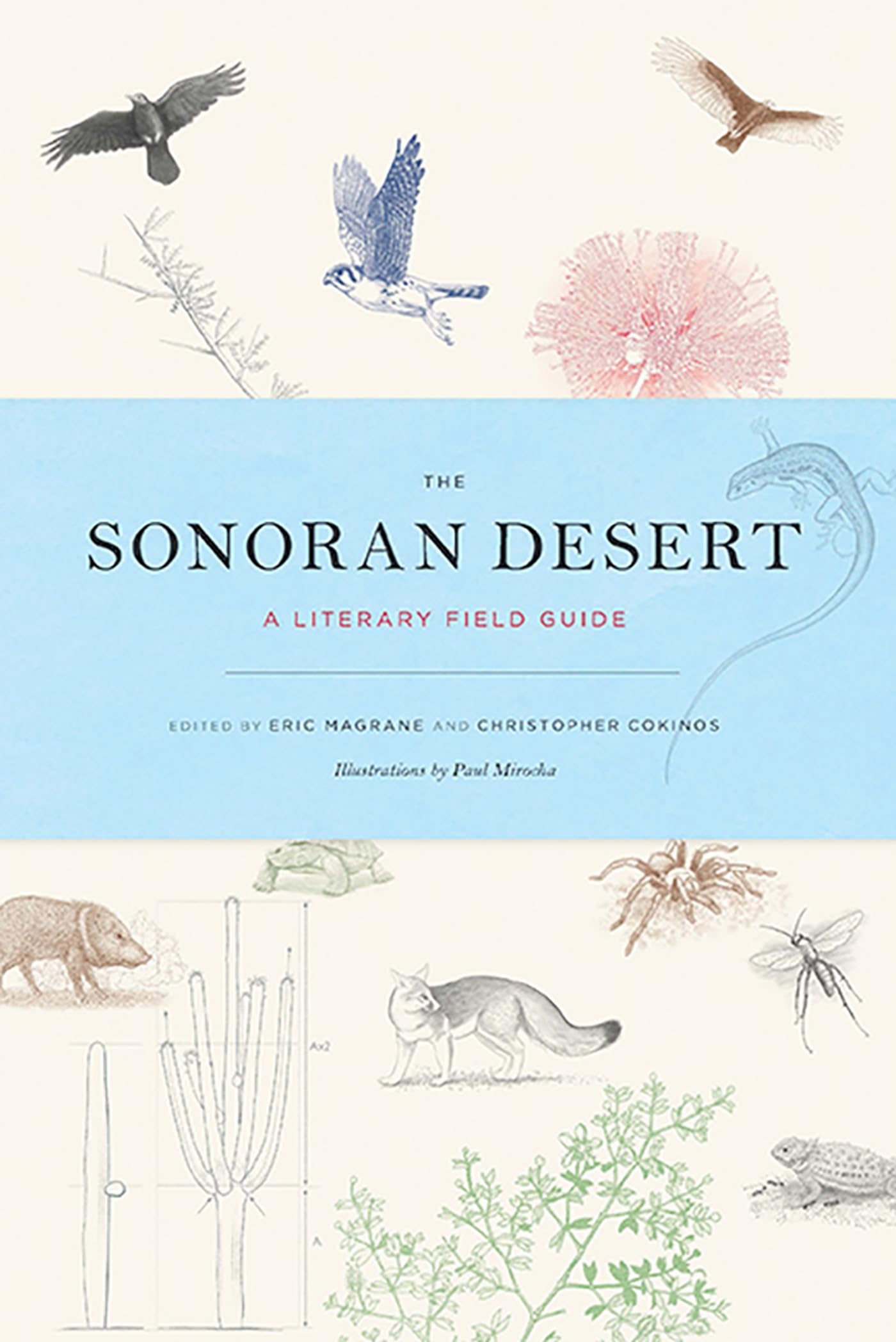 The Sonoran Desert: A Literary Field Guide,Used