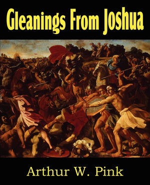 Gleanings From Joshua,Used