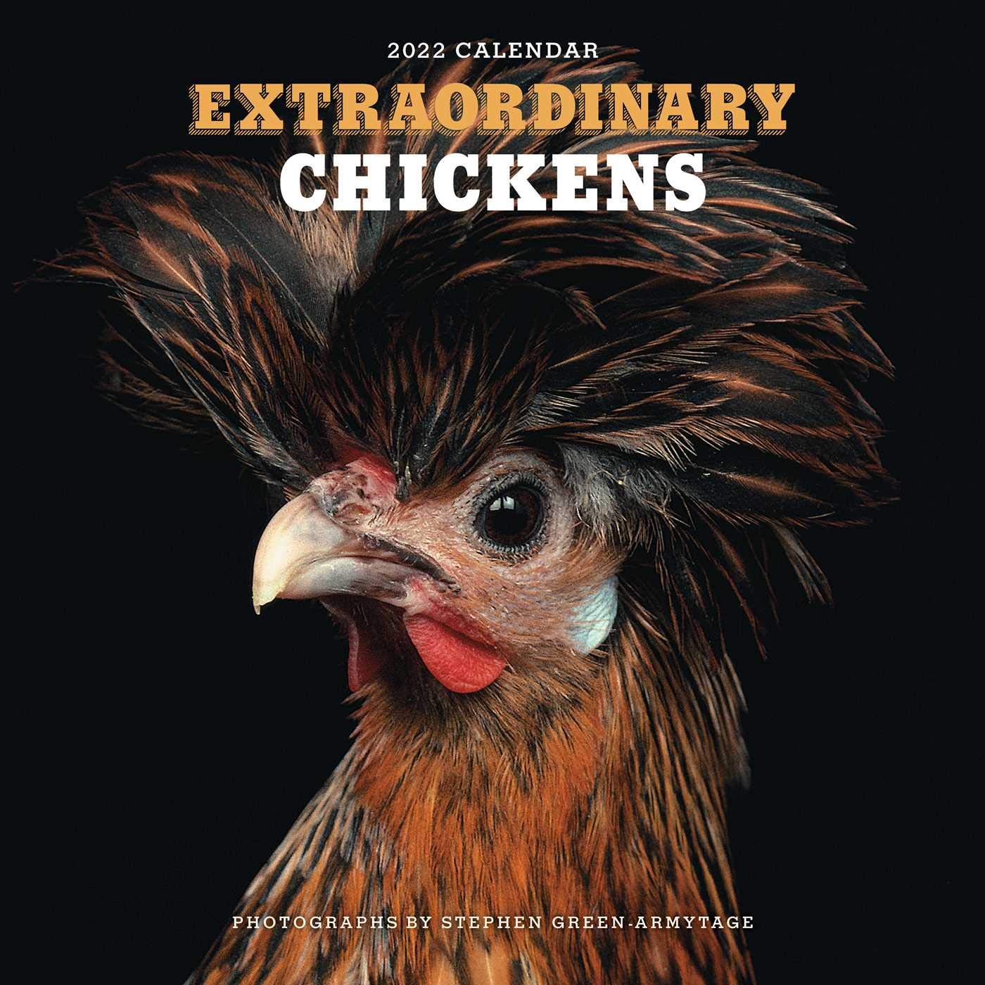 Extraordinary Chickens 2022 Wall Calendar,New