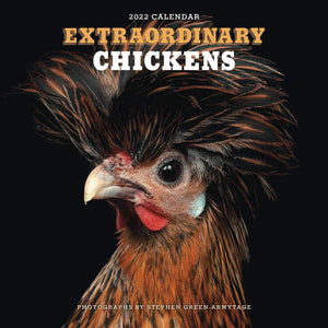 Extraordinary Chickens 2022 Wall Calendar,New