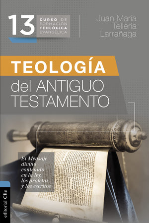 Teologa del Antiguo Testamento (Spanish Edition),Used