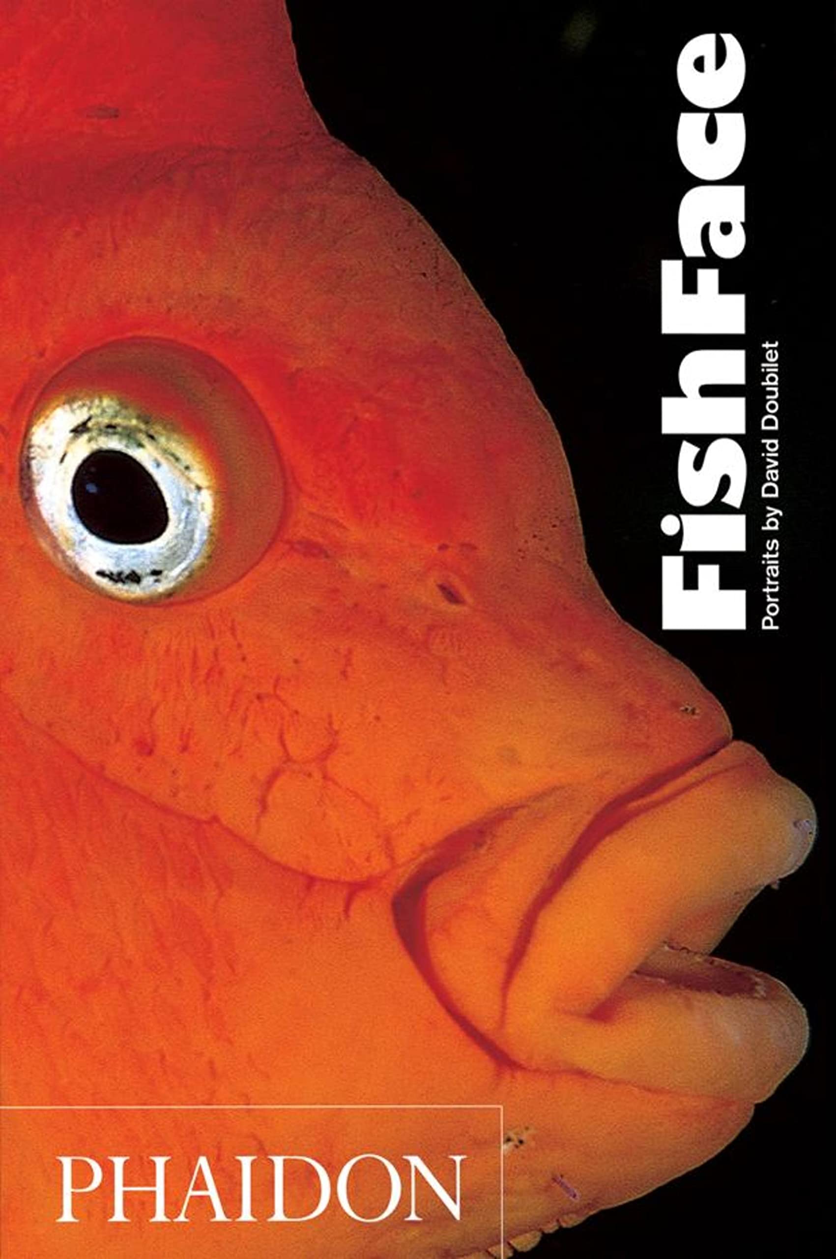 Fish Face,New
