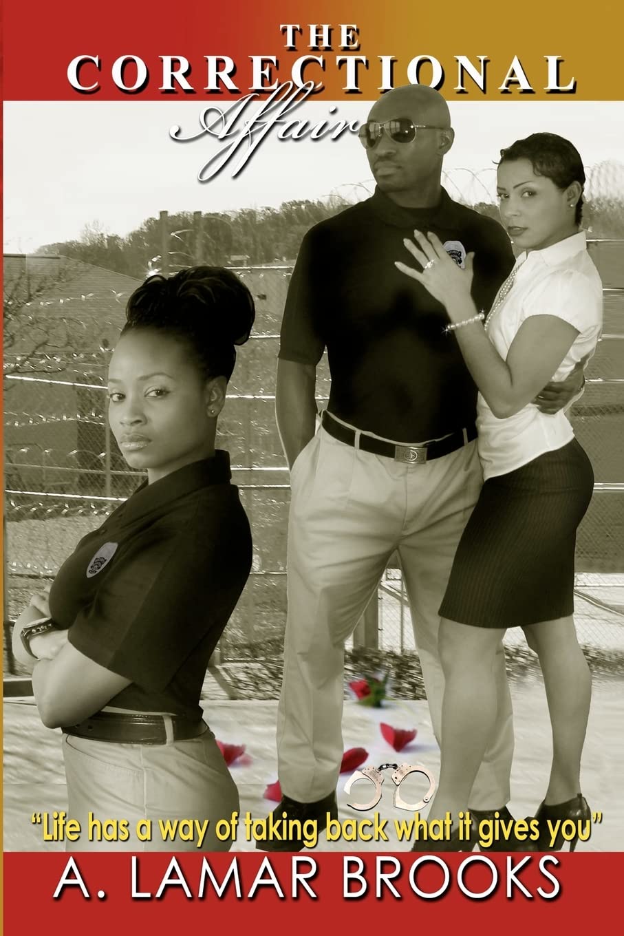The Correctional Affair: (Life Has A Way Of Taking Back What It Gives You),Used