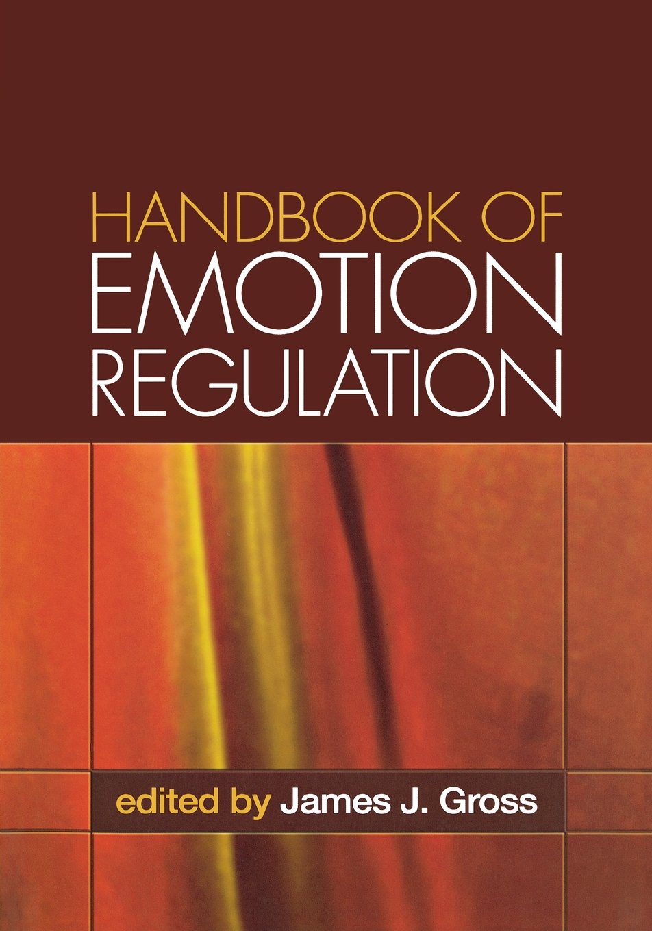 Handbook of Emotion Regulation, First Edition,Used