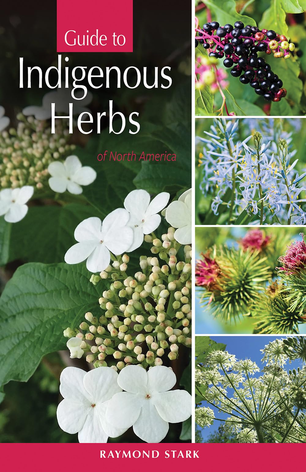 Guide to Indigenous Herbs: of North America,Used