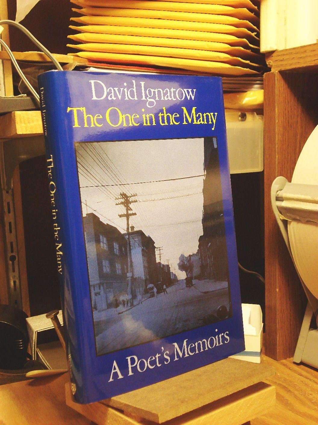 The One in the Many: A Poet,Used