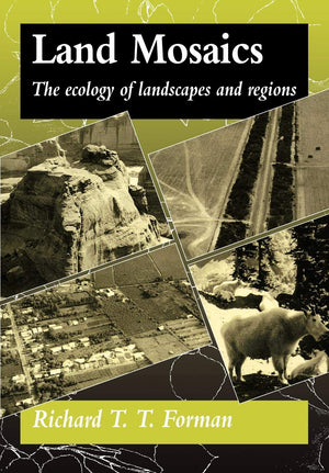 Land Mosaics: The Ecology of Landscapes and Regions,Used