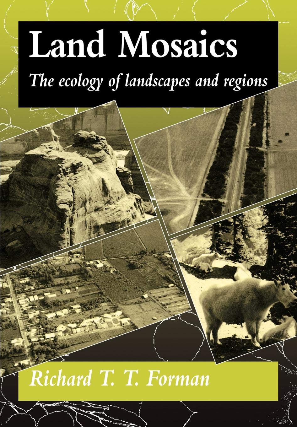 Land Mosaics: The Ecology of Landscapes and Regions,Used