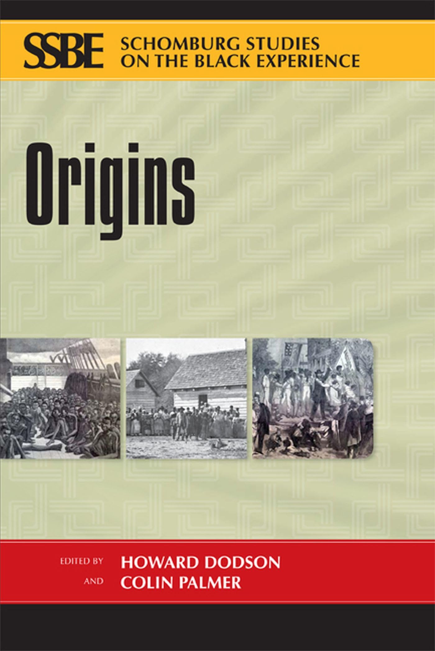 Origins (Schomburg Studies On The Black Experience Series),Used