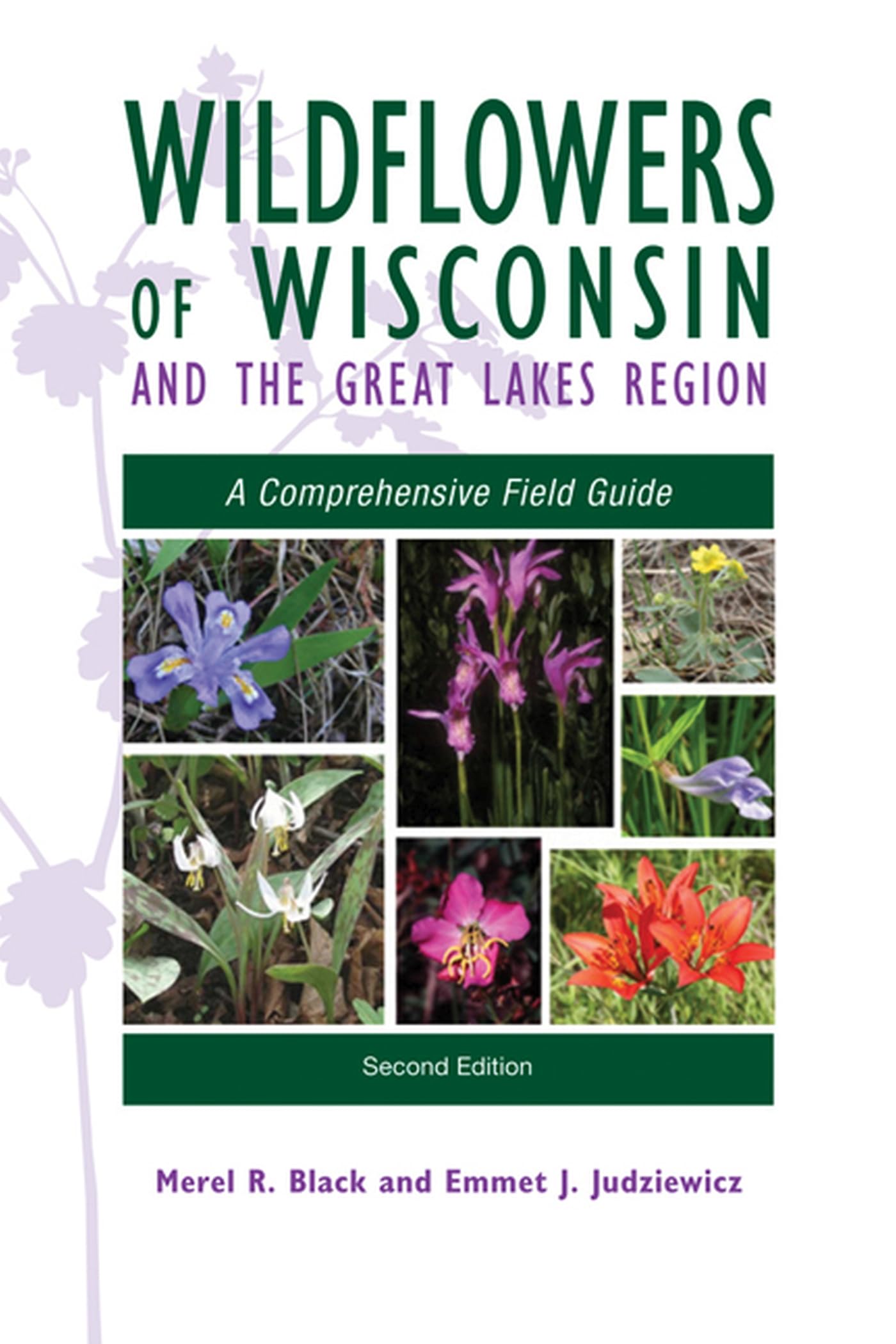 Wildflowers of Wisconsin and the Great Lakes Region: A Comprehensive Field Guide,Used