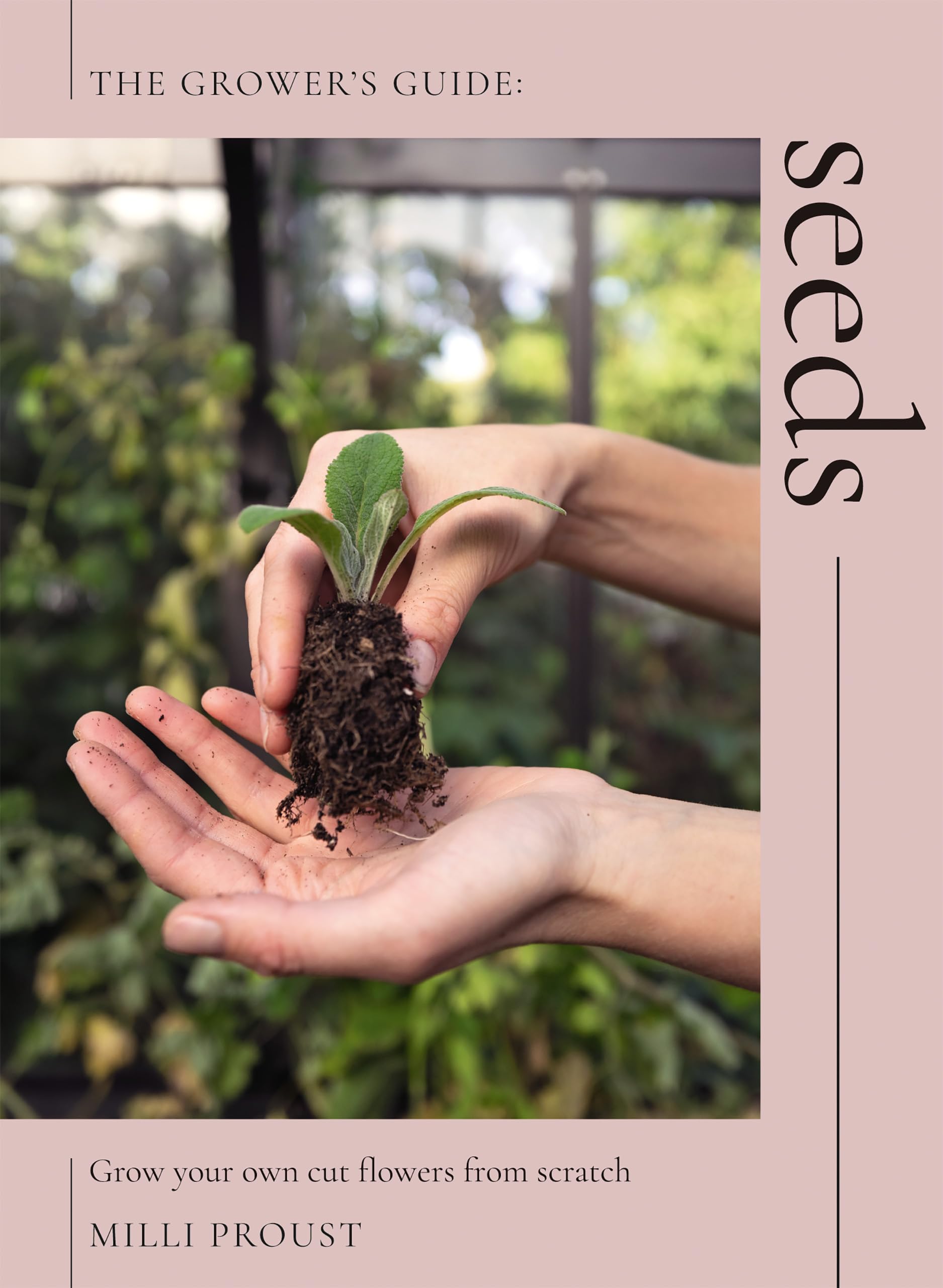 Seeds: Grow Your Own Cut Flowers from Scratch,New