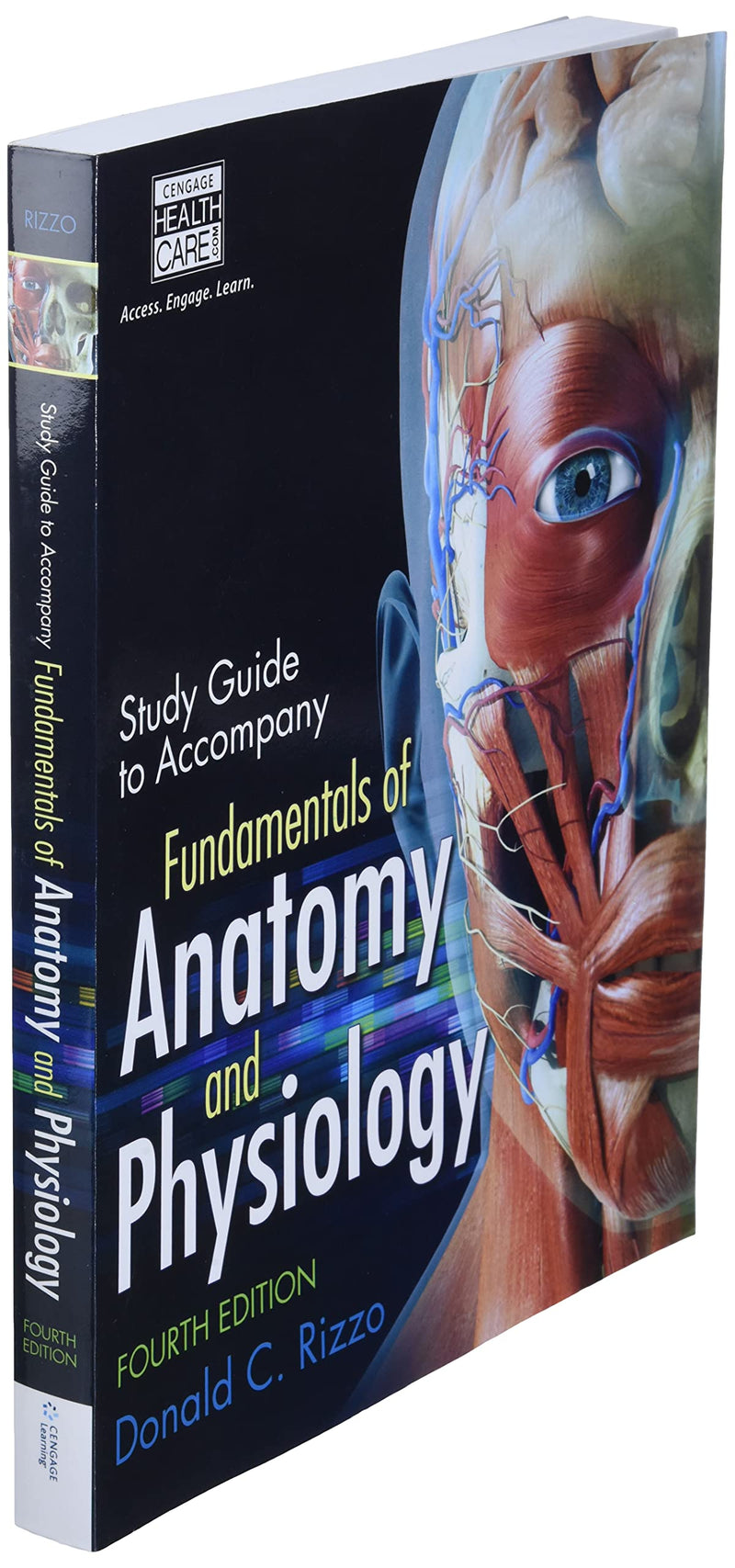 Study Guide for Rizzo's Fundamentals of Anatomy and Physiology, 4th,Used