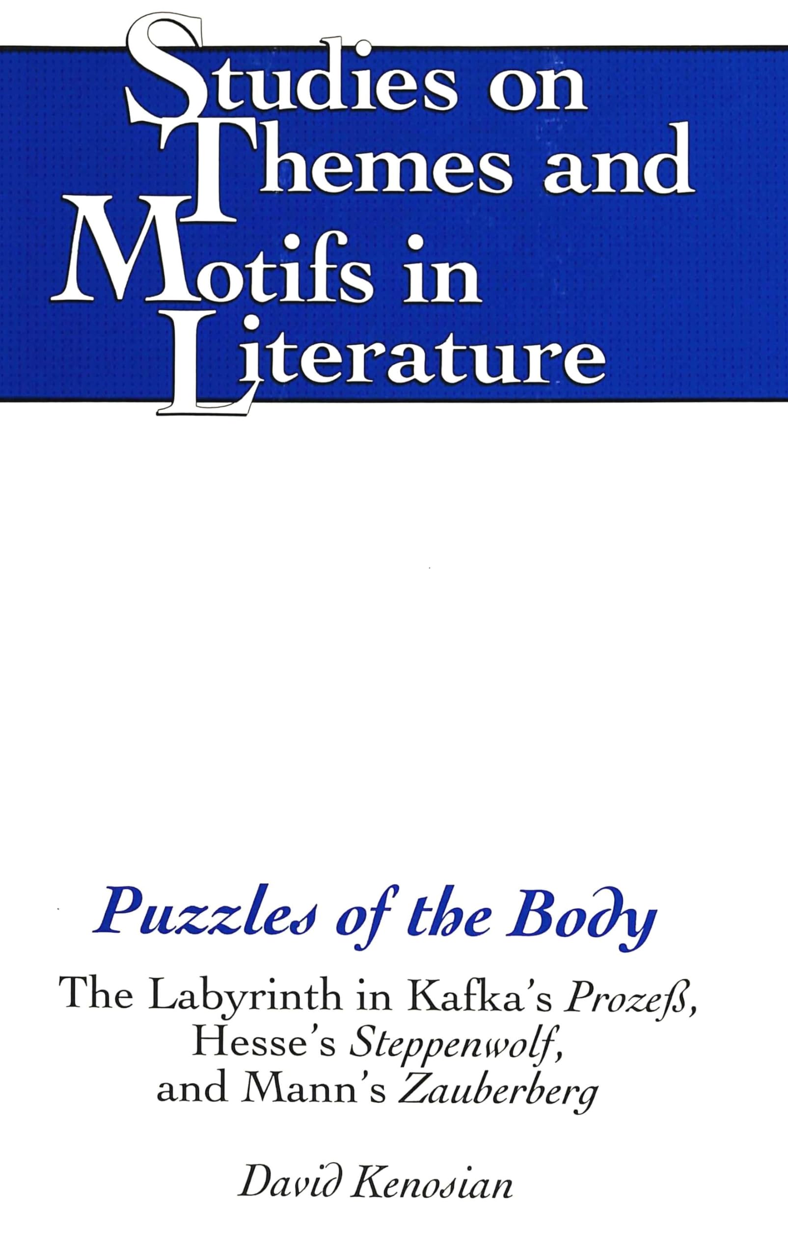 Puzzles of the Body: The Labyrinth in Kafkas Proze, Hesses Steppenwolf, and Manns Zauberberg (Studies on Themes and Motifs