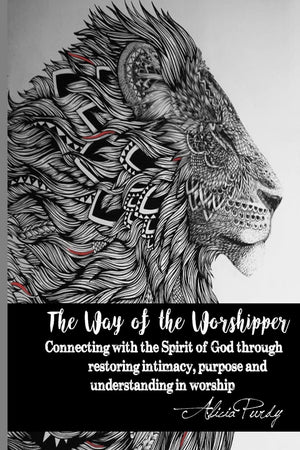 The Way of the Worshipper: Connecting to the Spirit of God through restoring intimacy, purpose and understanding in worship,Used