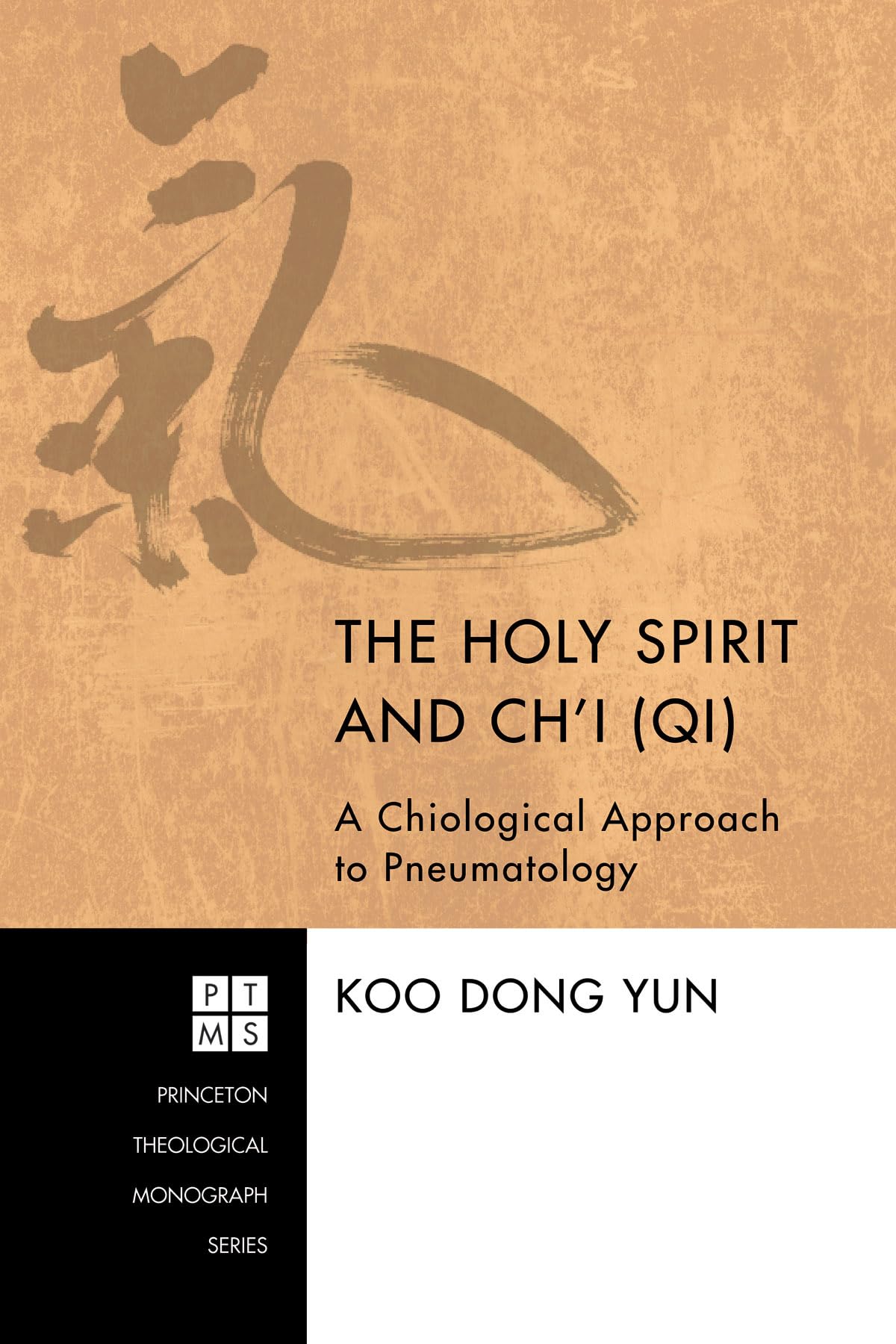 The Holy Spirit And Ch'I (Qi): A Chiological Approach To Pneumatology (Princeton Theological Monograph),Used