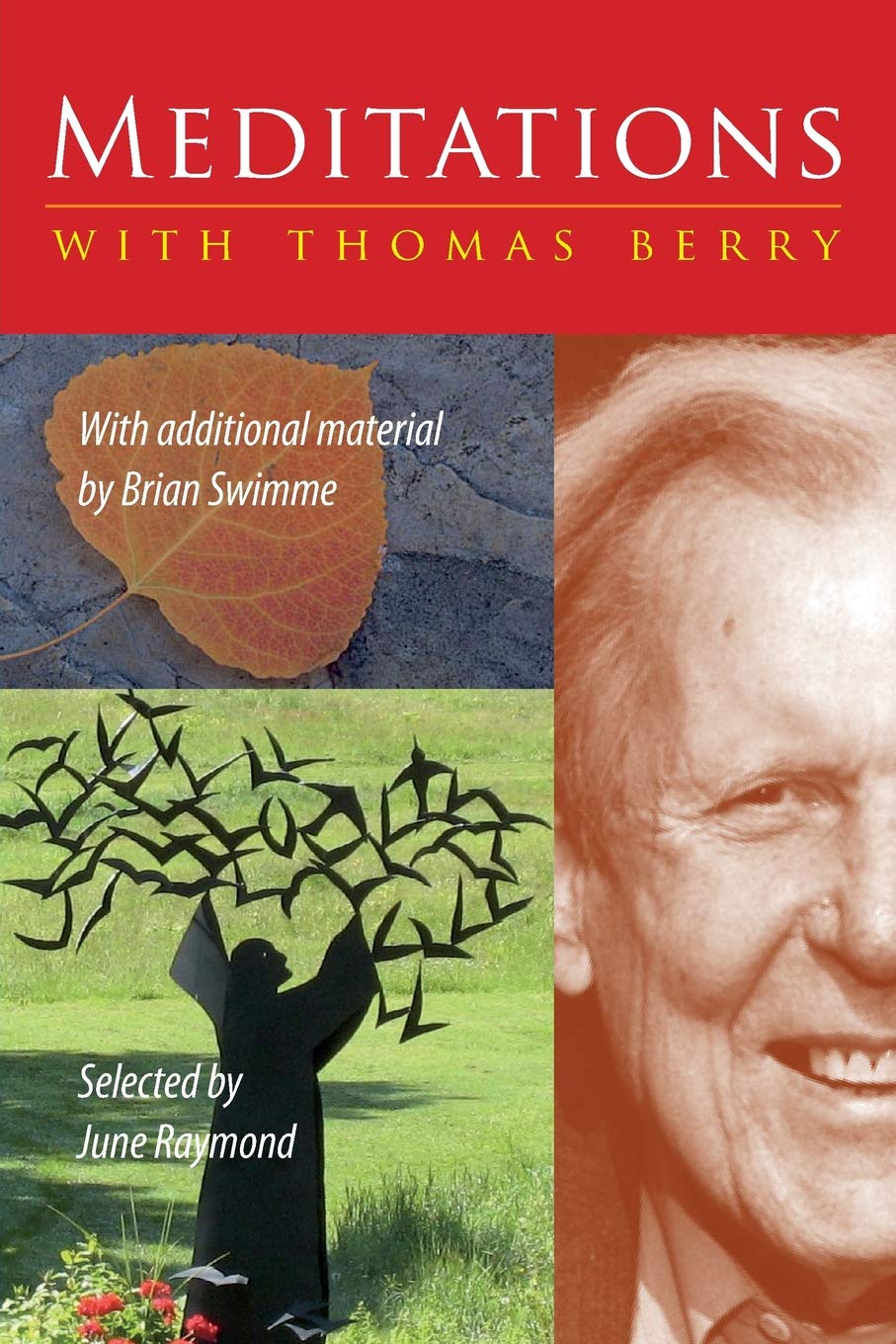Meditations with Thomas Berry: With additional material by Brian Swimme,Used
