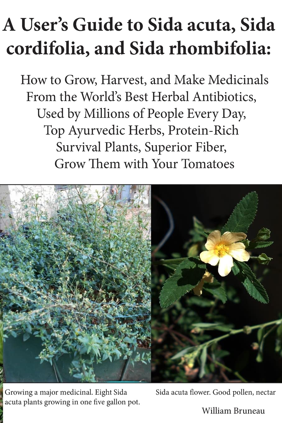 A User'S Guide To Sida Acuta, Sida Cordifolia, And Sida Rhombifolia:: How To Grow, Harvest, And Make Medicinals From The World'S
