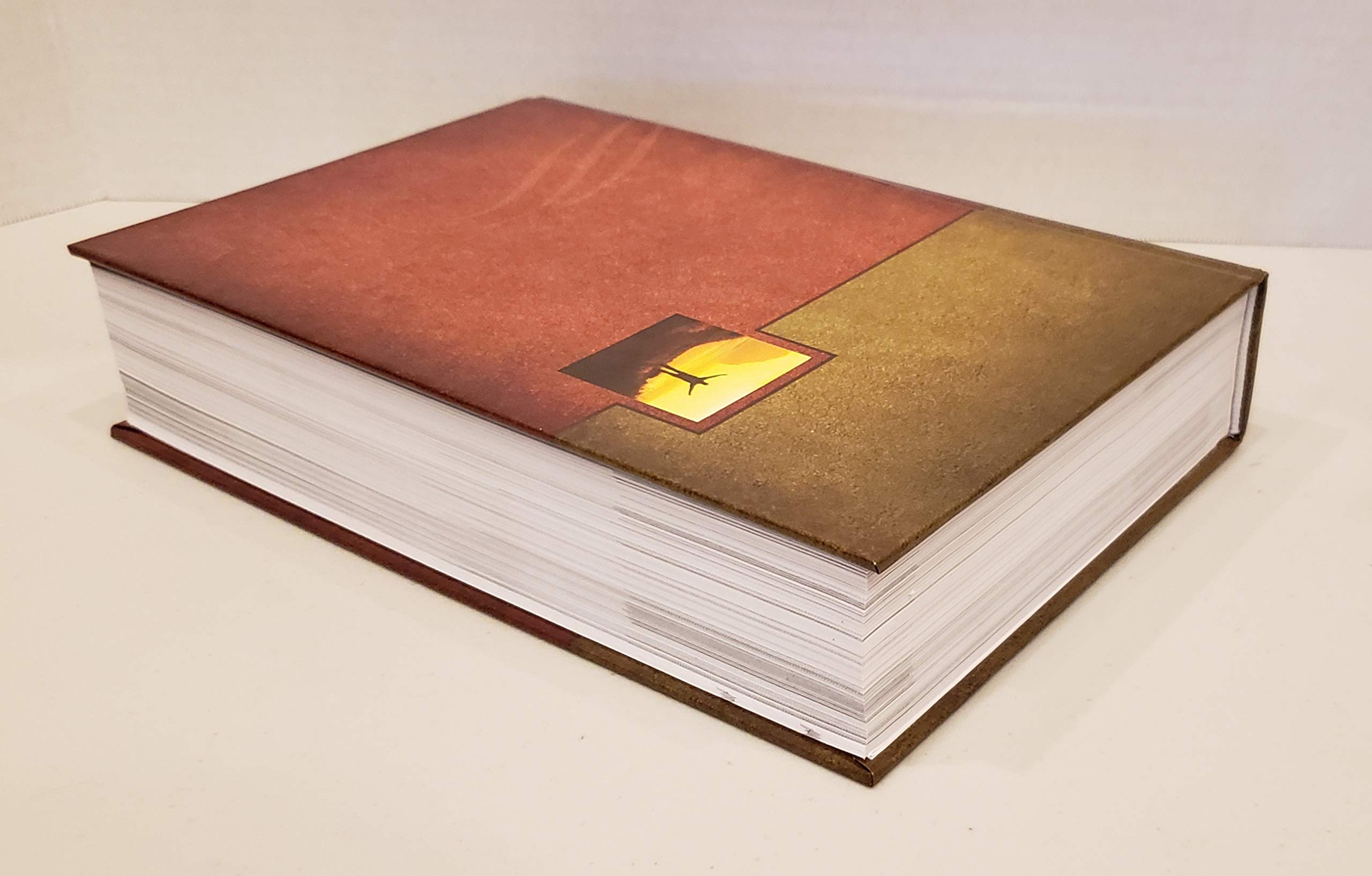 Celebrate Recovery Bible, New International Version