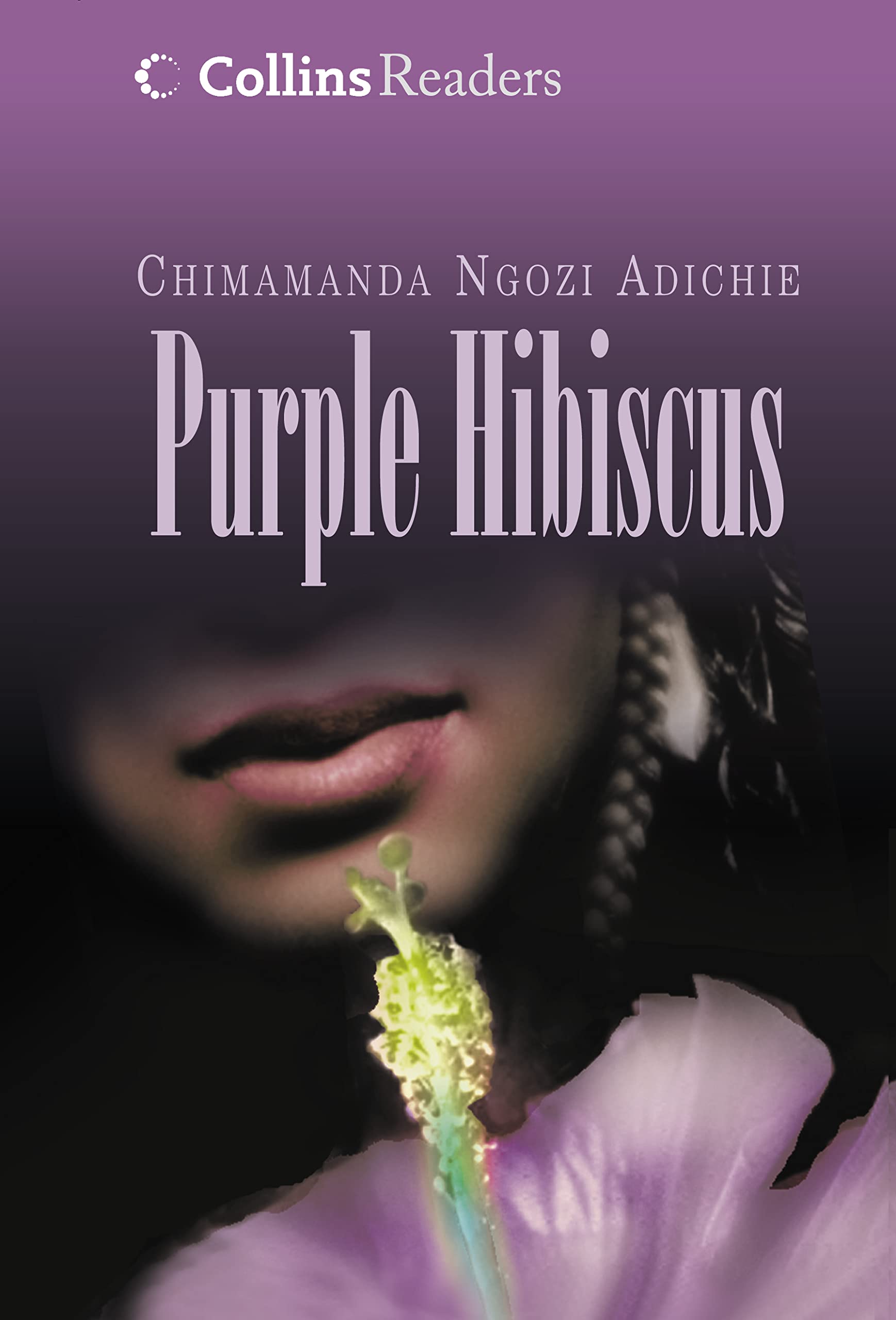 Purple Hibiscus,Used