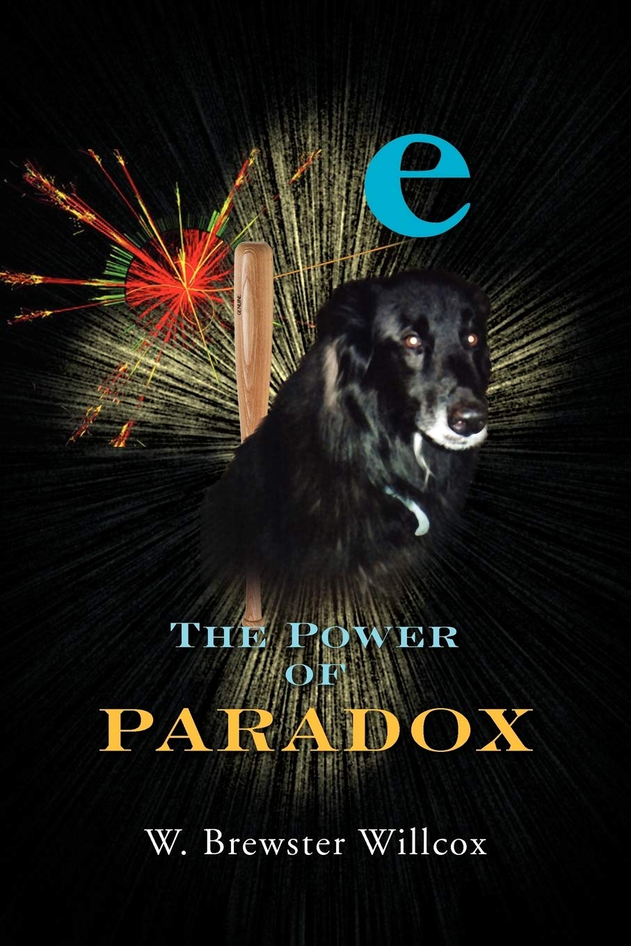 The Power Of Paradox,Used