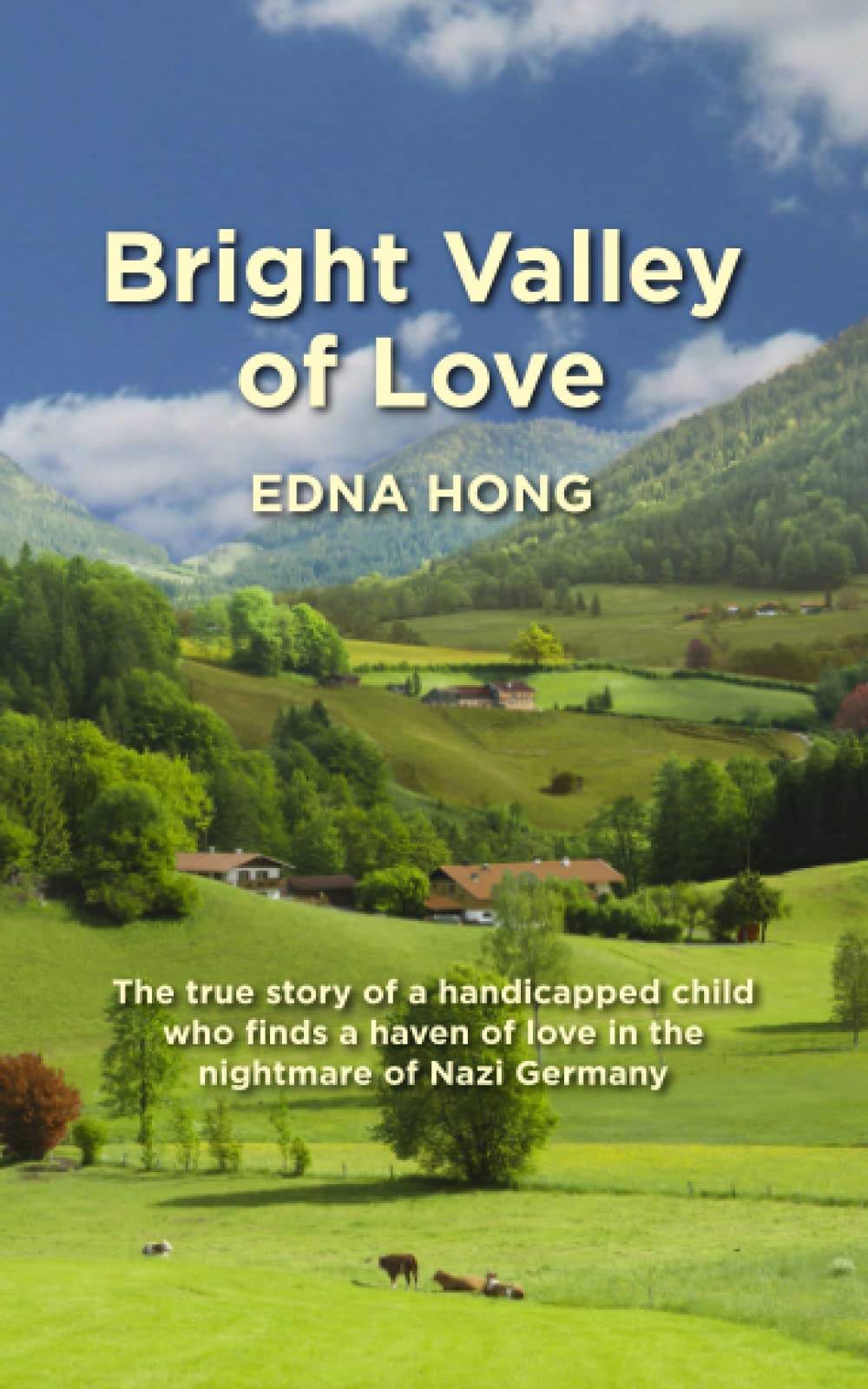 Bright Valley of Love,Used