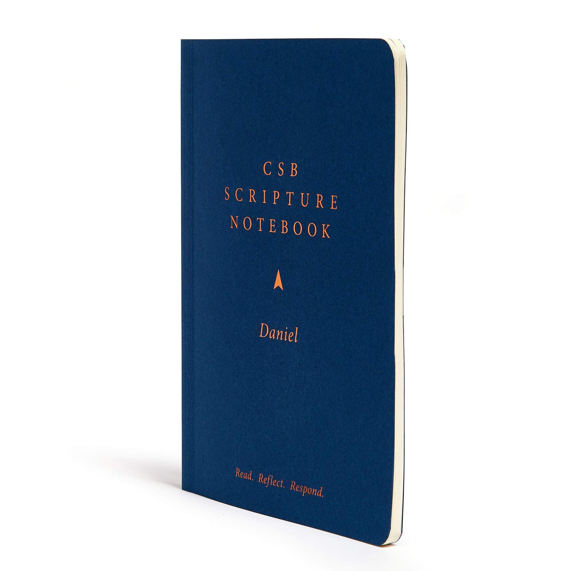 CSB Scripture Notebook, Daniel, Black Letter, SingleColumn, Notetaking, Journaling Space, Sermon Series, Personal Study, Concis,Used