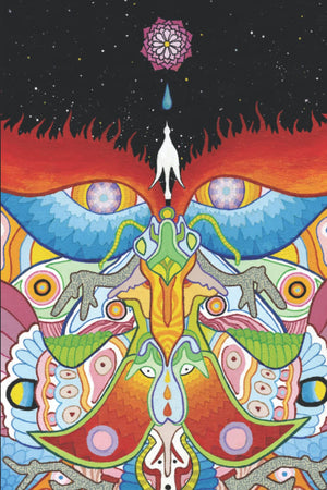 Dive Manual: Empirical Investigations of Mysticism,Used