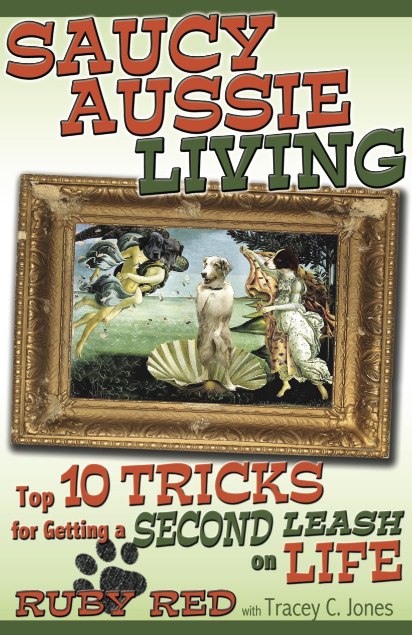 Saucy Aussie Living: Top 10 Tricks For Getting A Second Leash On Life,Used