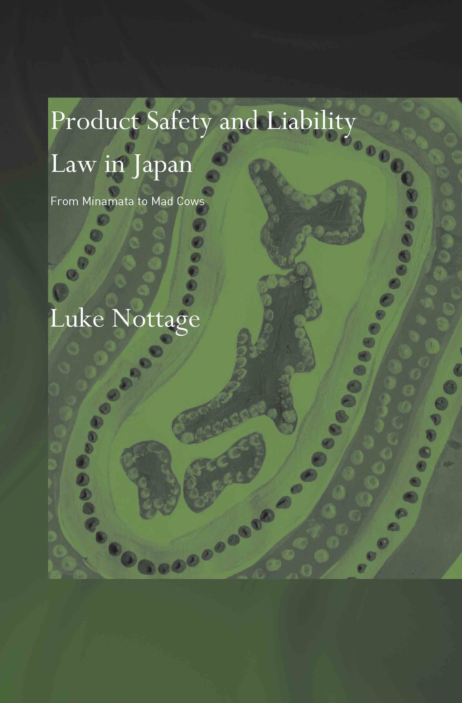 Product Safety And Liability Law In Japan: From Minamata To Mad Cows,New