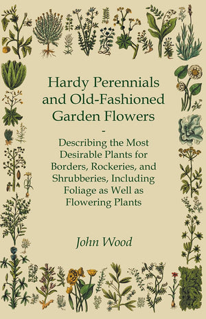 Hardy Perennials And Oldfashioned Garden Flowers;Describing The Most Desirable Plants For Borders, Rockeries, And Shrubberies, ,Used