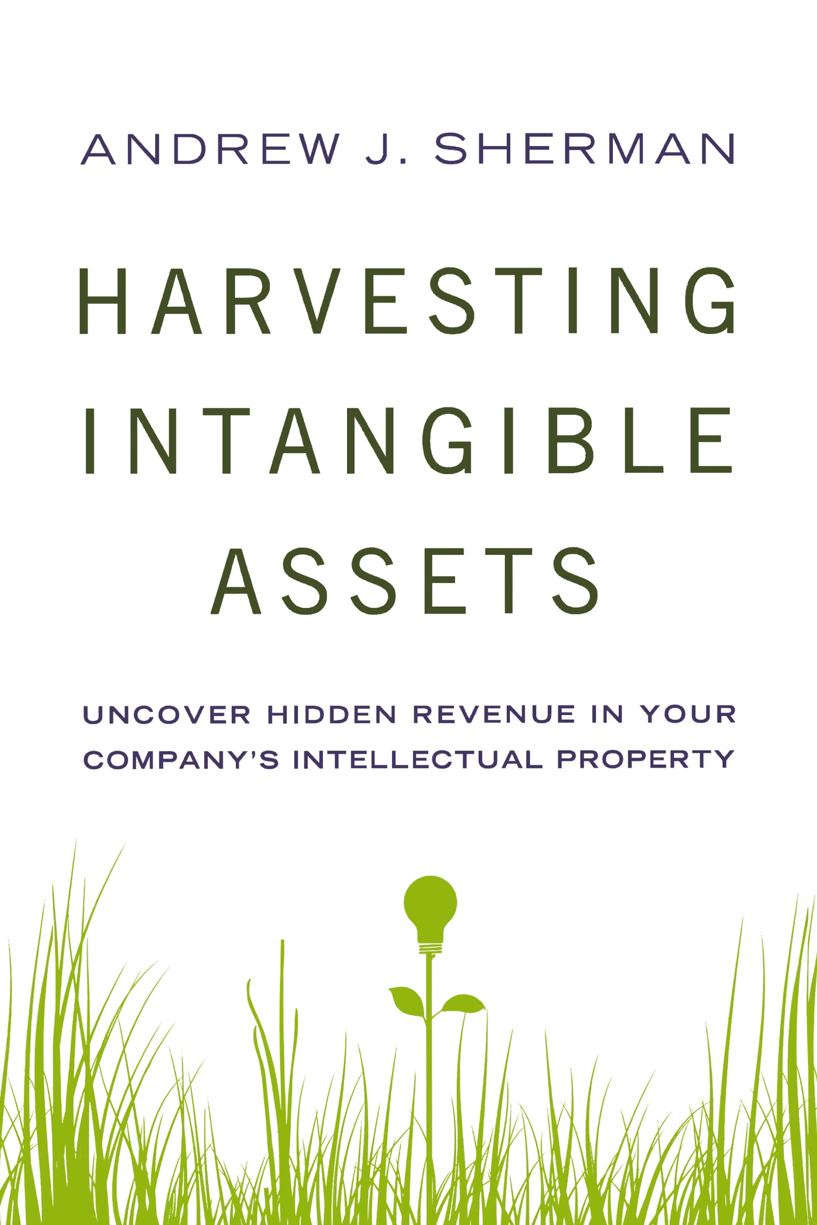 Harvesting Intangible Assets: Uncover Hidden Revenue In Your Company'S Intellectual Property,Used