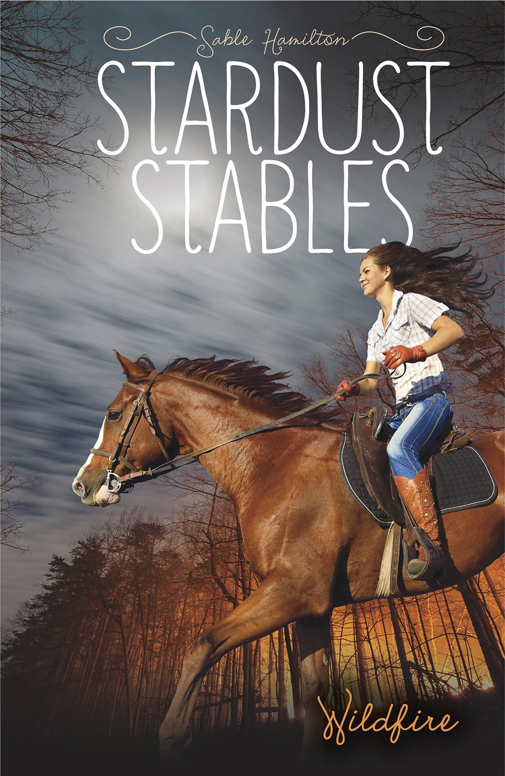 Wildfire (Stardust Stables),Used