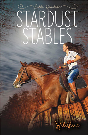 Wildfire (Stardust Stables),Used