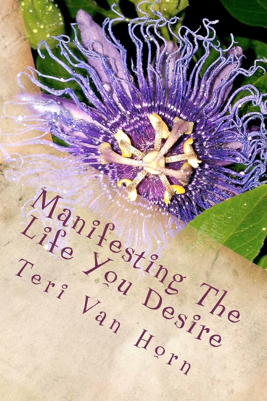 Manifesting The Life You Desire: Affirmations, Tips, Quotes And Practical Advice For Living A Beautiful Life!,Used