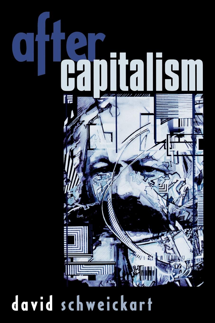 After Capitalism (New Critical Theory),Used