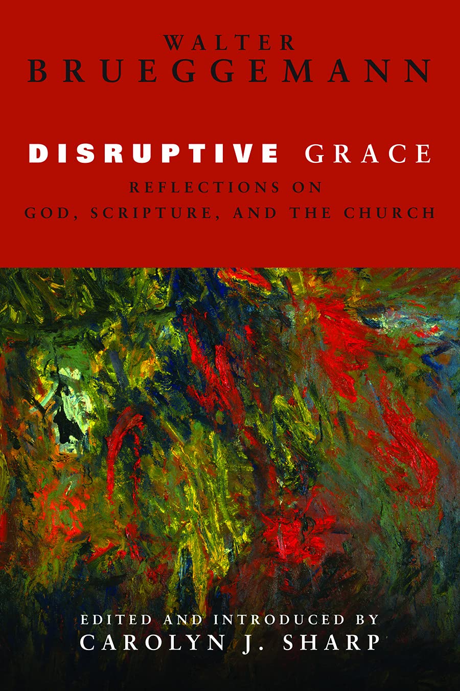 Disruptive Grace: Reflections On God, Scripture, And The Church