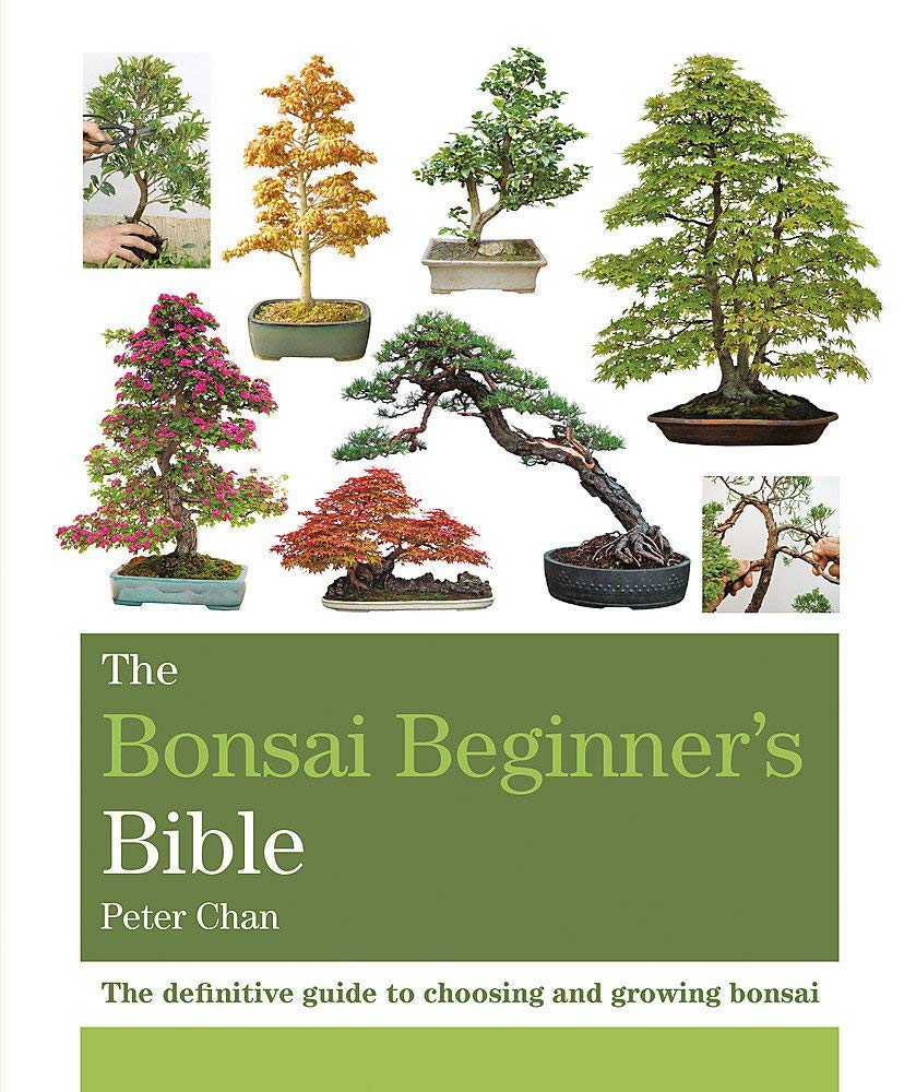 The Bonsai Beginner'S Bible,New