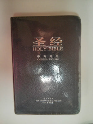 The Holy Bible: Old And New Testaments In The Authorized King James Version, Referenced Red Letter Edition With Dictionary, Inde-used