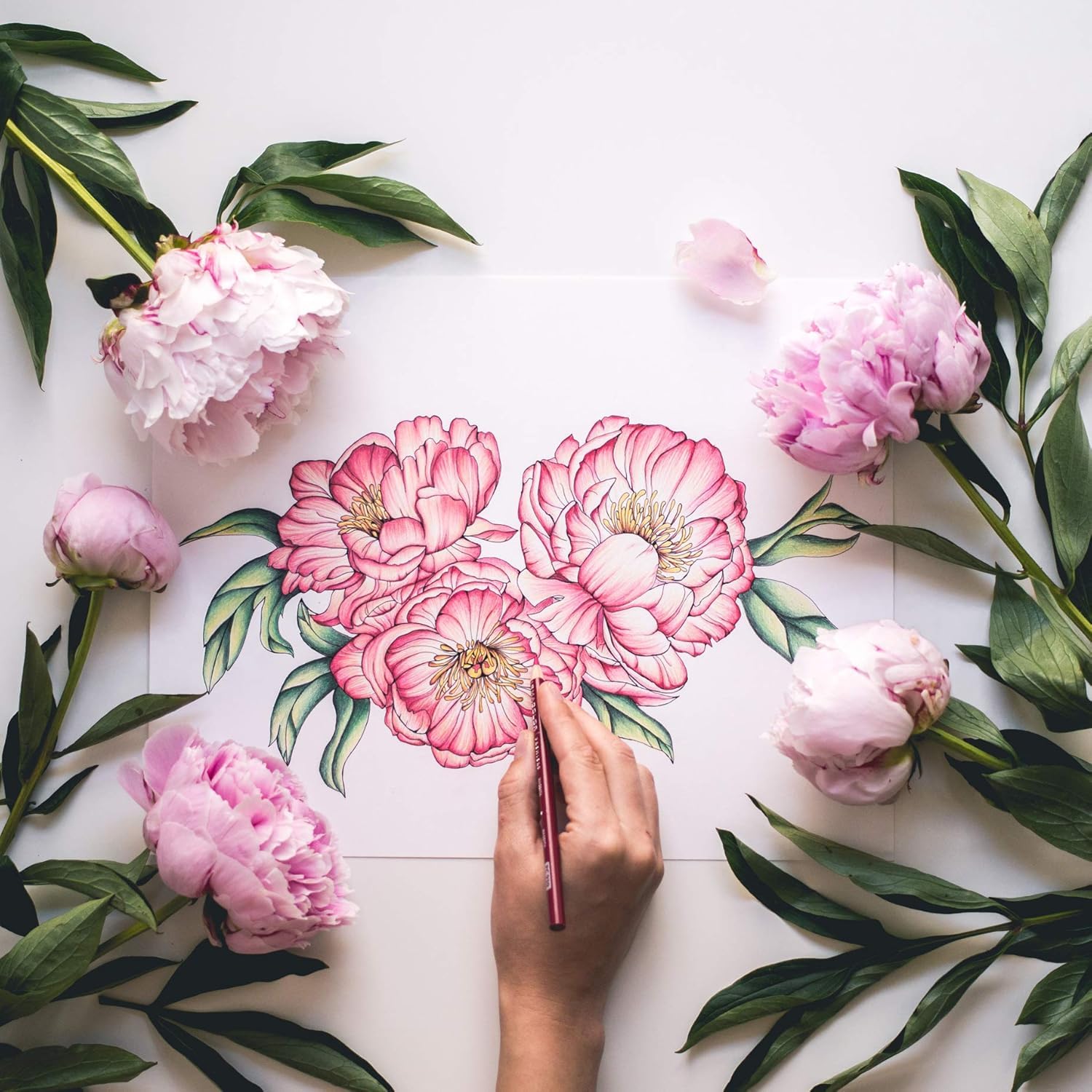 In Bloom: A Stepbystep Guide To Drawing Lush Florals