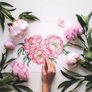In Bloom: A Stepbystep Guide To Drawing Lush Florals